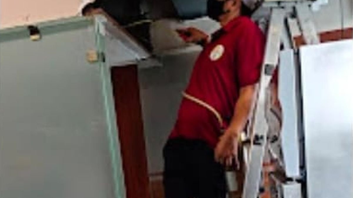 Cockroach Control for Restaurants and Cloud Kitchens