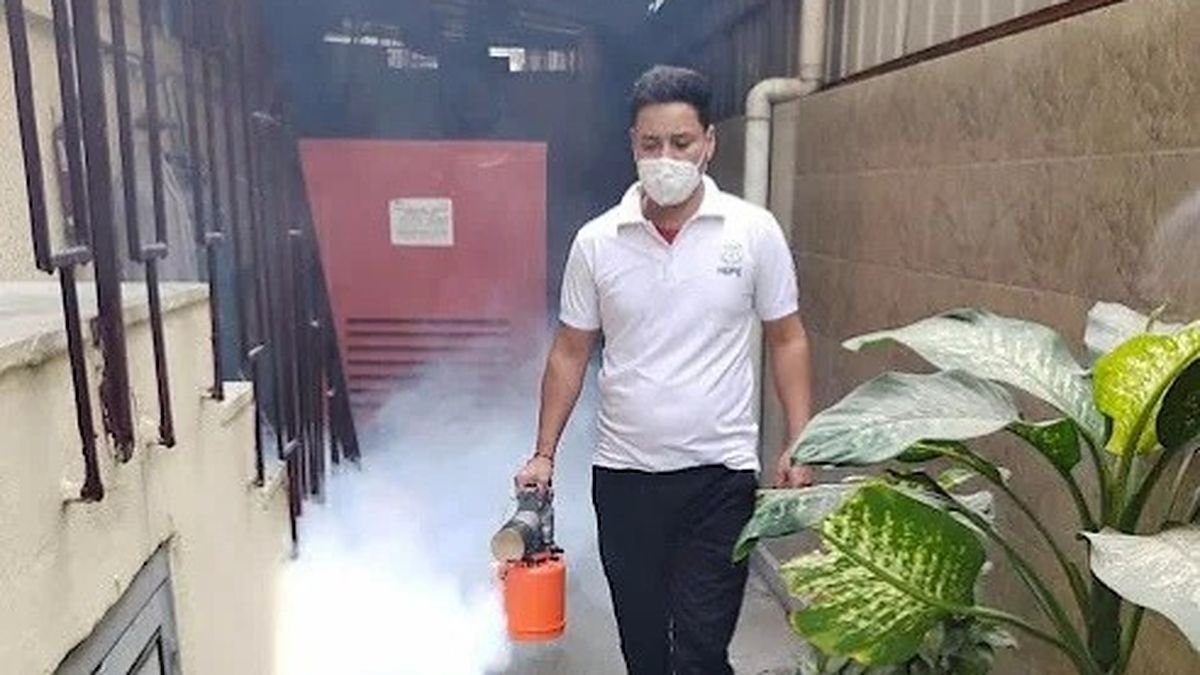 Monsoon Pests in Ghaziabad: What to Expect and What to Do