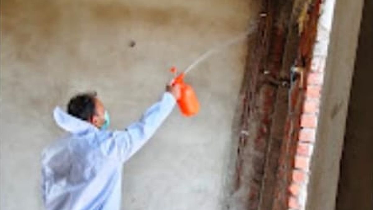 Pre-Construction Anti-Termite Treatment: Owner's Guide