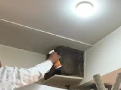 Cockroach treatment inside a kitchen exhaust duct
