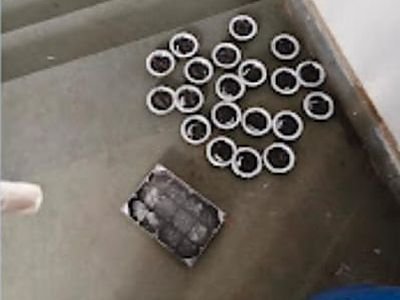 Rodent glue board and bait cups placed on a staircase