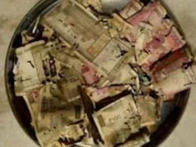 Currency notes damaged by termites inside a steel almirah in Ghaziabad