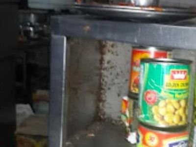 Termite infestation along the wall of a restaurant kitchen store area