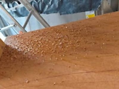 Wood borer powder on a wooden board before wood borer treatment