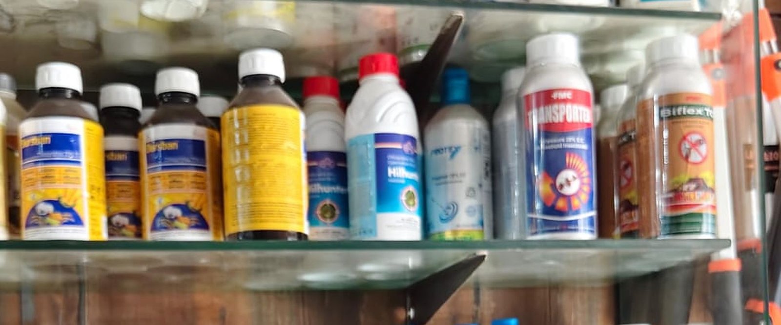 Shelves of registered pest control chemicals at the Jai Bharat Pest Control store in Indirapuram