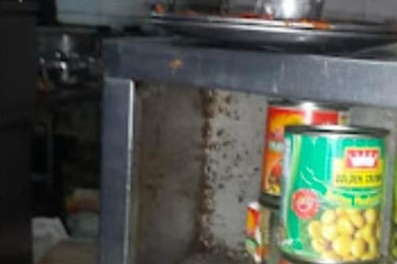 Commercial Pest Control service in Indirapuram by Jai Bharat Pest Control